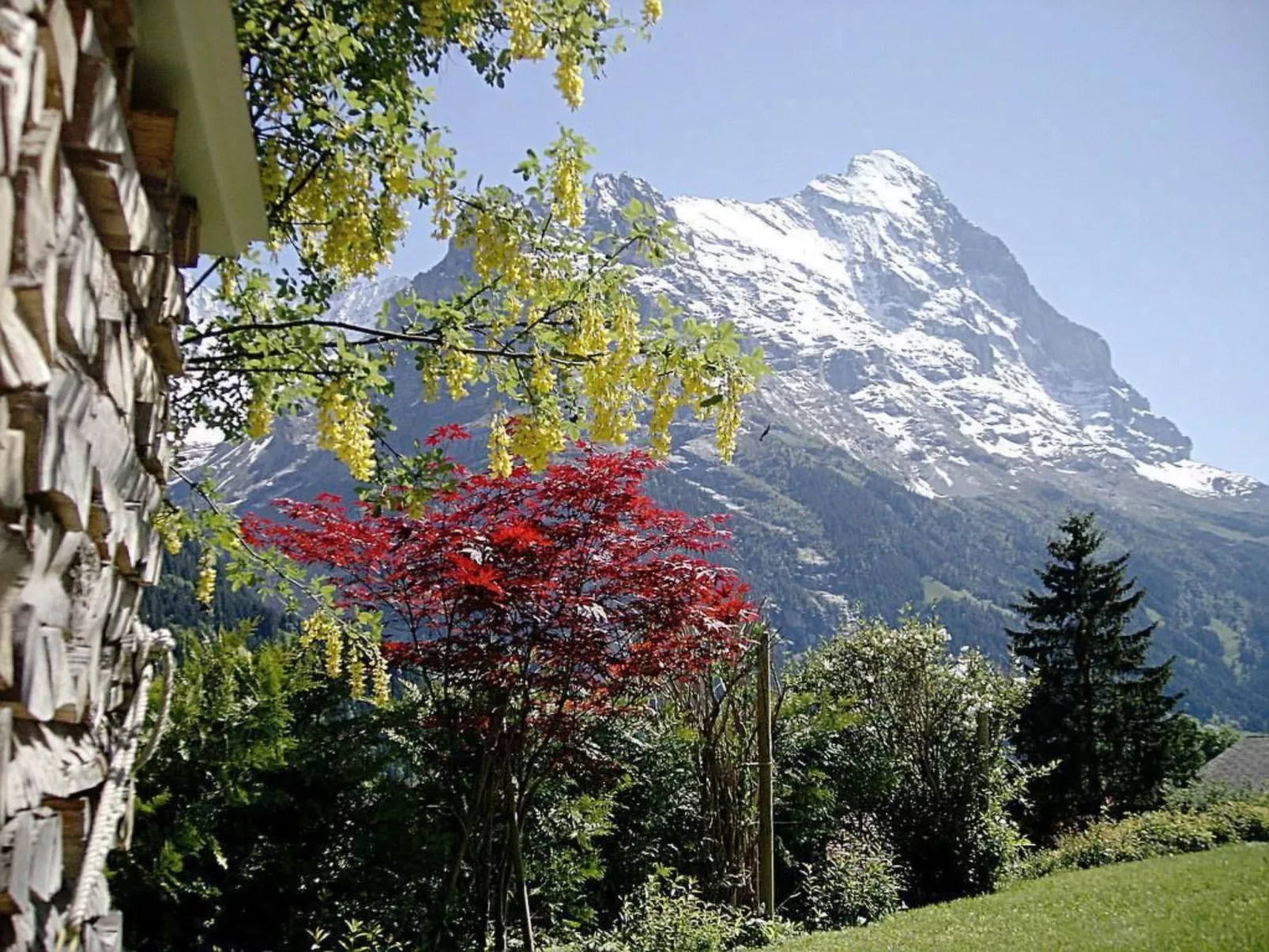 Chalet Mislin, Grindelwald direkte Bergsicht-Buiten
