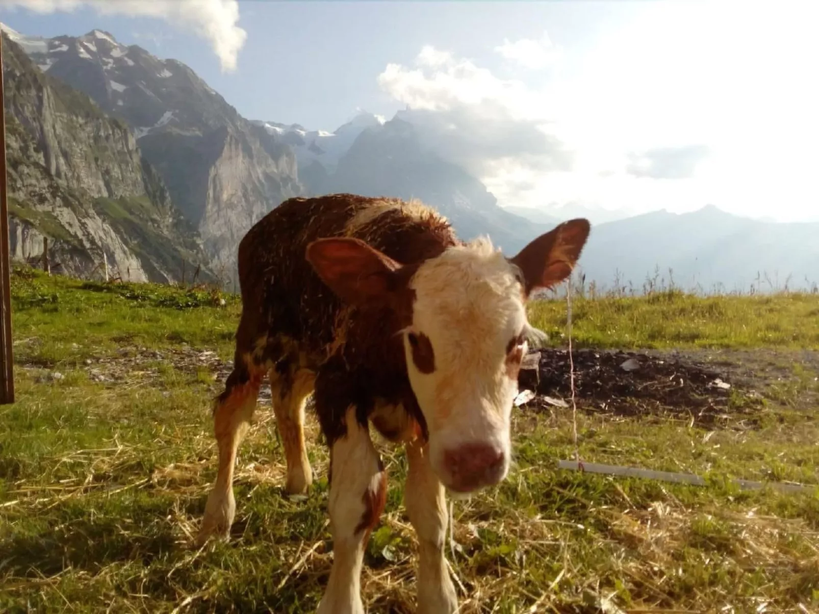 Bühlengasse 6-Buiten