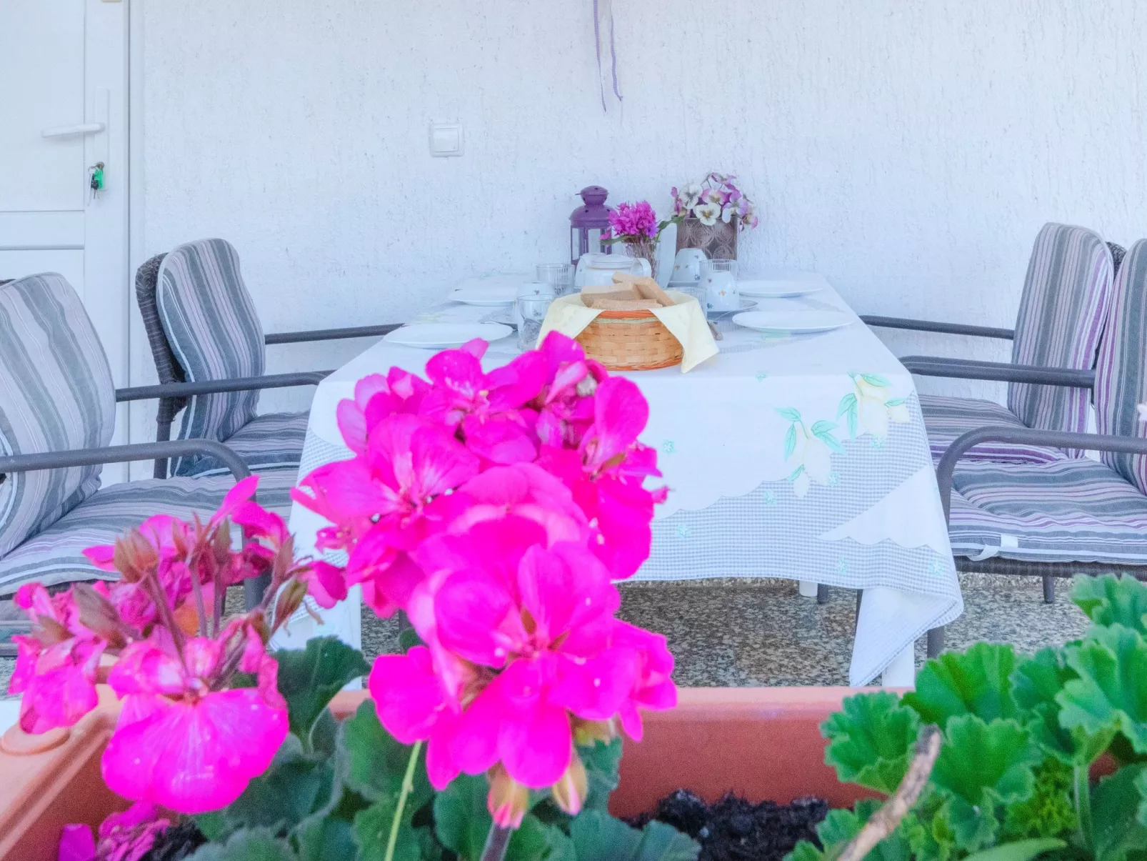 Jasnica - Image-tags.info