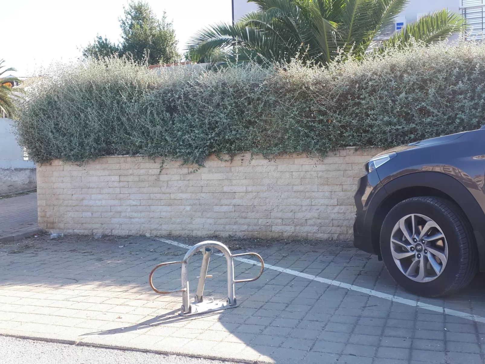 Direkt am Meer liegendes Apartment mit Garten-Buiten