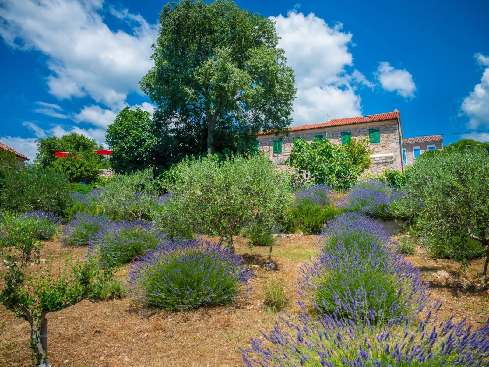 Ferienvilla Vesna in Crikvenica-Buiten