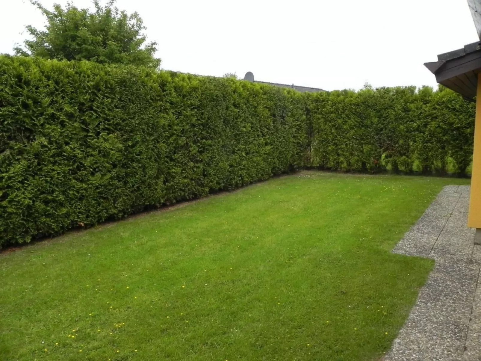 D4 Haus in Eckwarderhörne mit Terrasse und Garte-Buiten