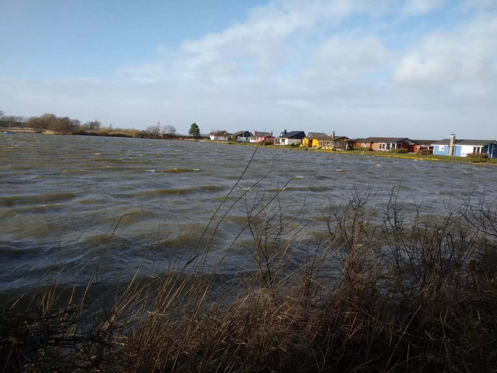 Eul in Butjadingen-Großwürden-Buiten