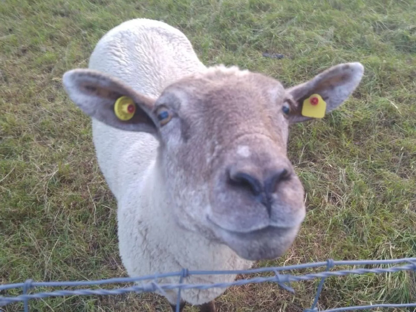 Nordseeliebe in Burhave-Buiten