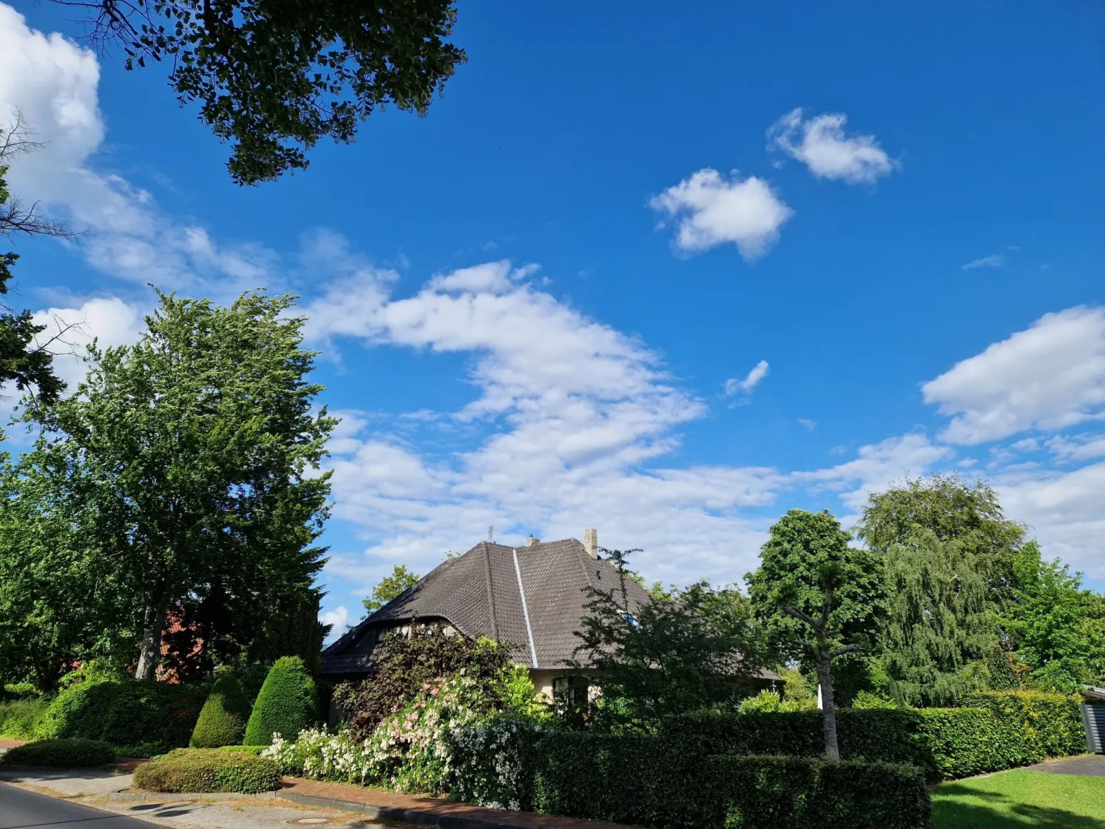 Schomaker-Fatmann-Image-tags.info