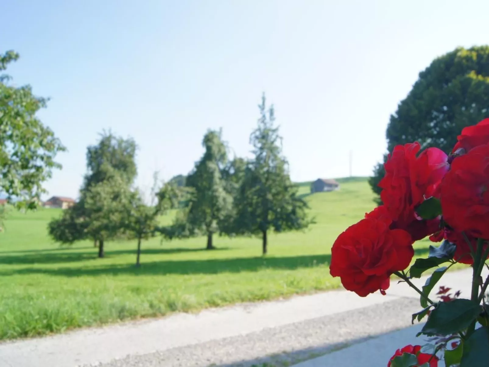 Auf dem Bauernhof-Buiten