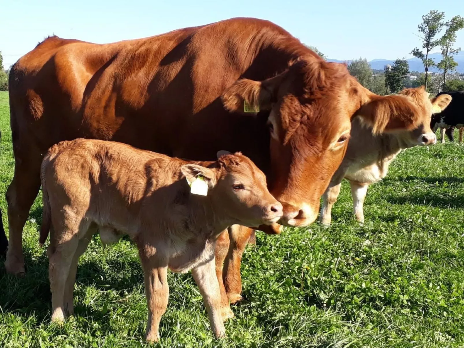 Sidlers Neuhof-Buiten