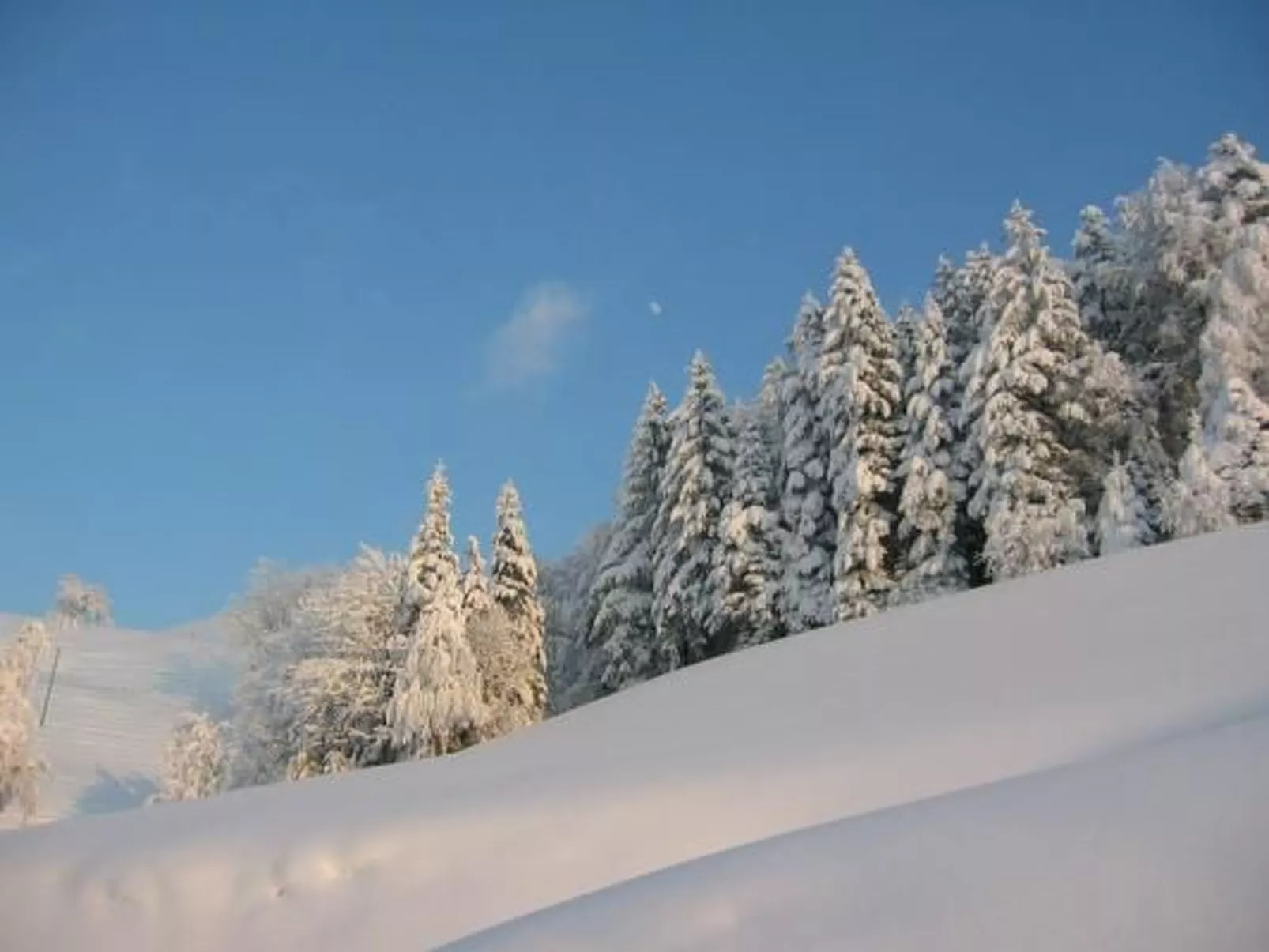 Ober-Tiefenbühl-Buiten