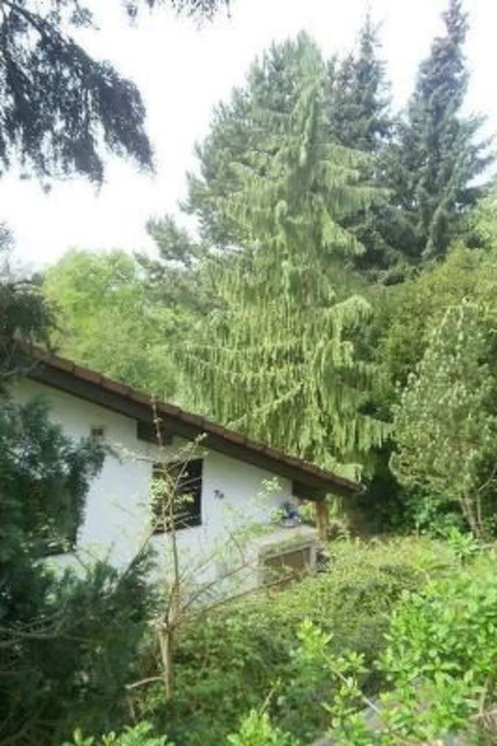 Schlossblick mit Teilseeblick-Image-tags.info