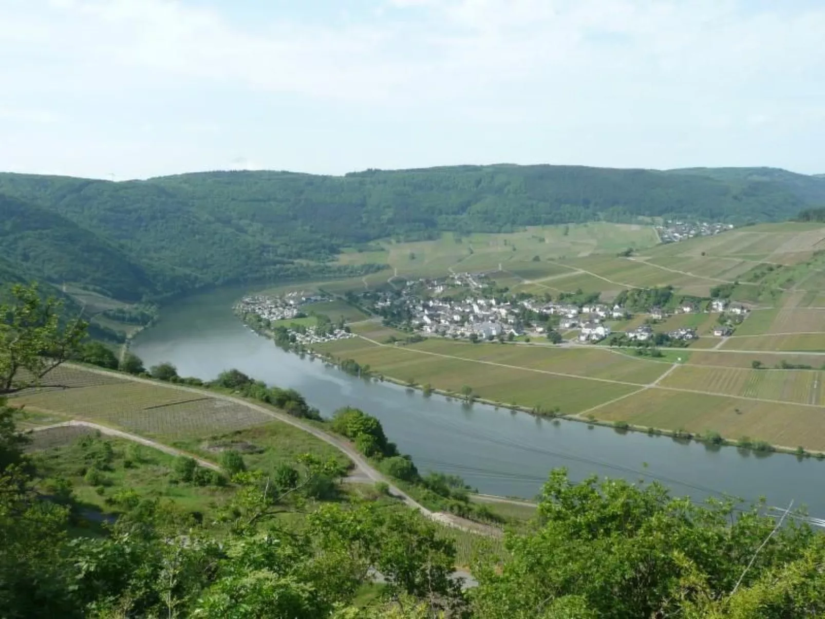 Moseltraum-Image-tags.info