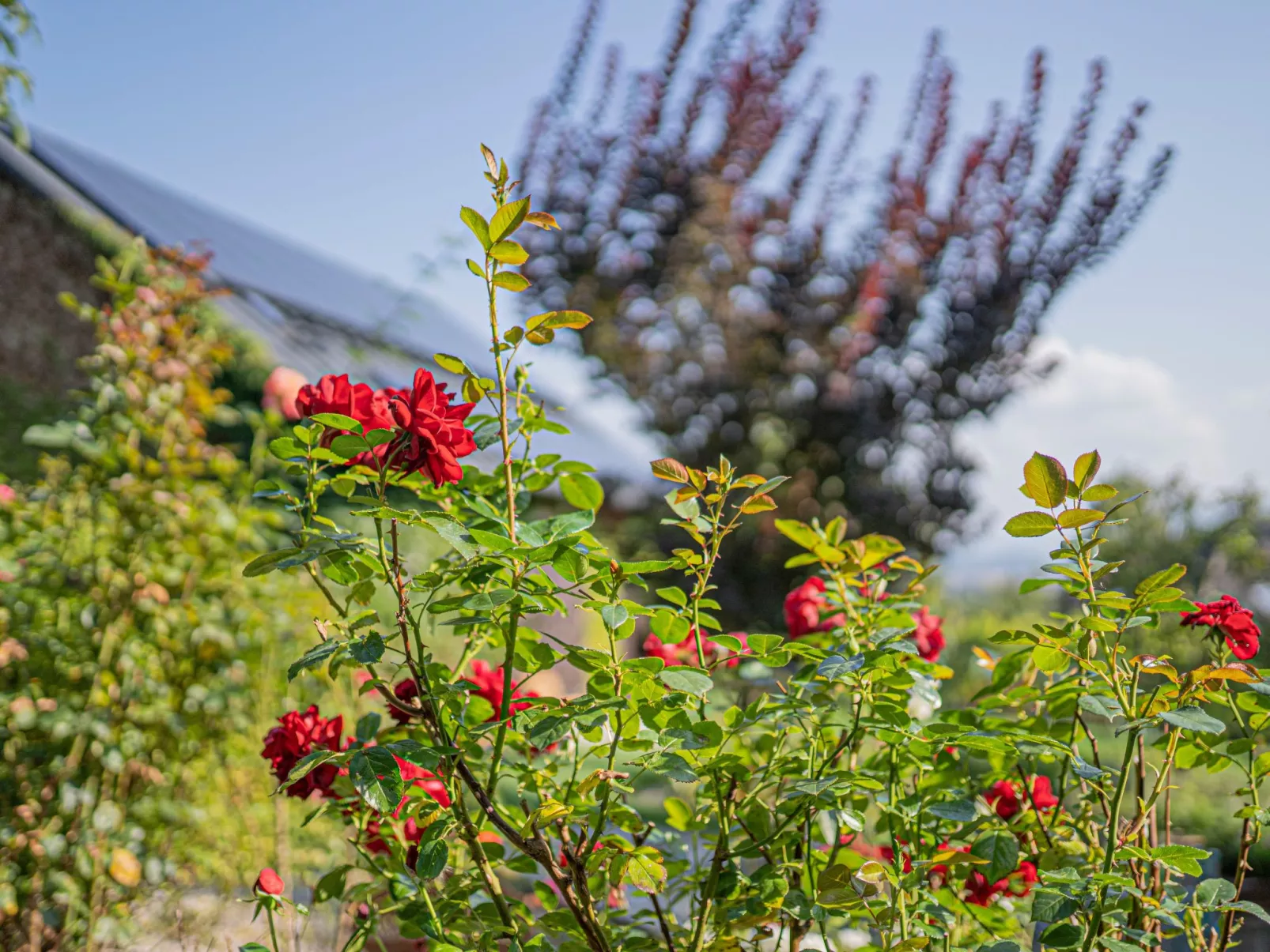 Dom Ogrodnika-Buiten
