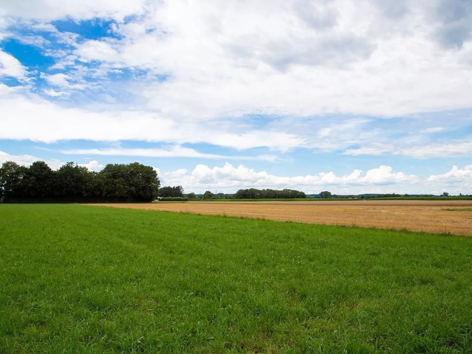 Im Illertal-Image-tags.info