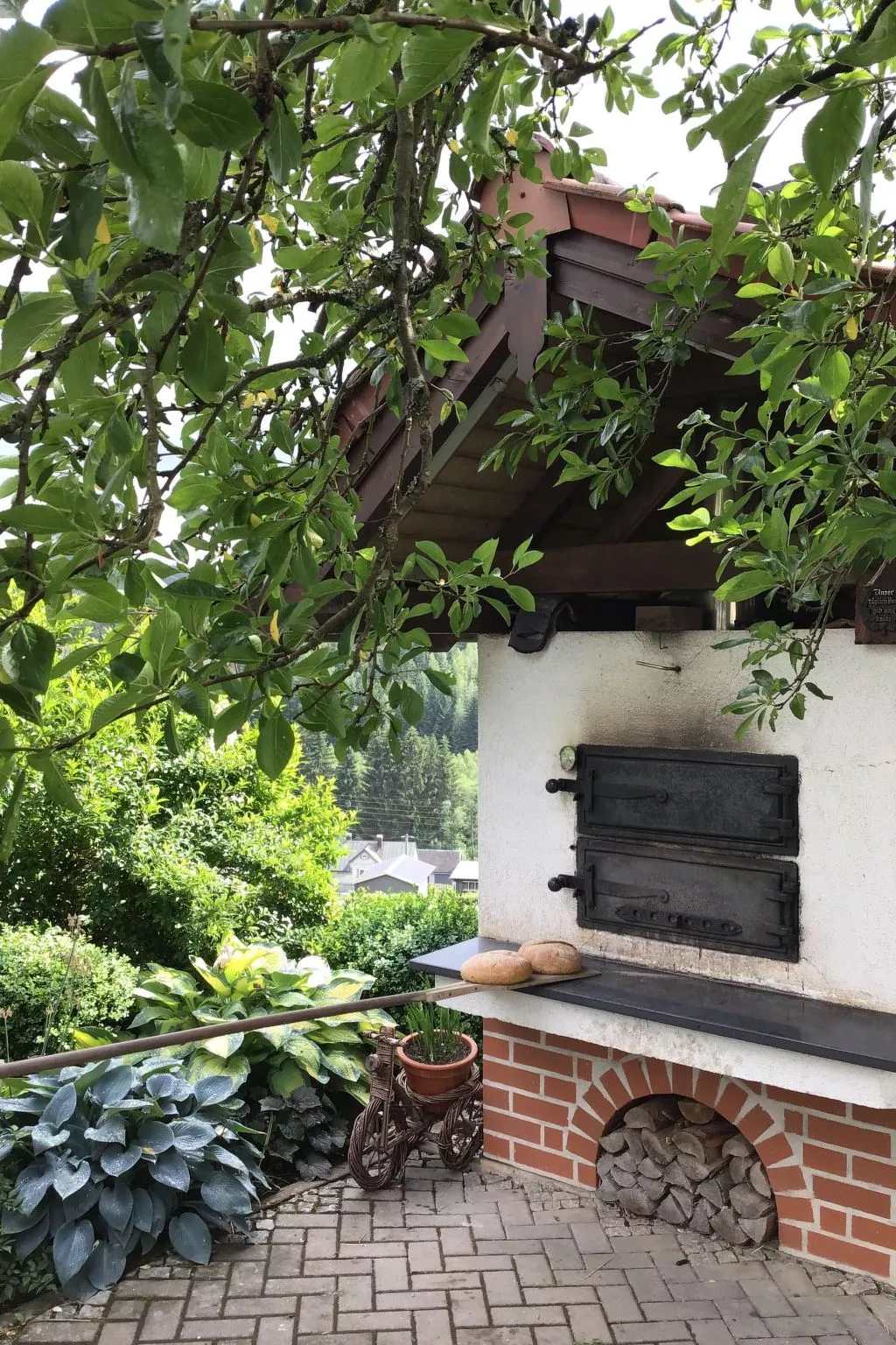 Auf der Sonnenseite-Image-tags.info