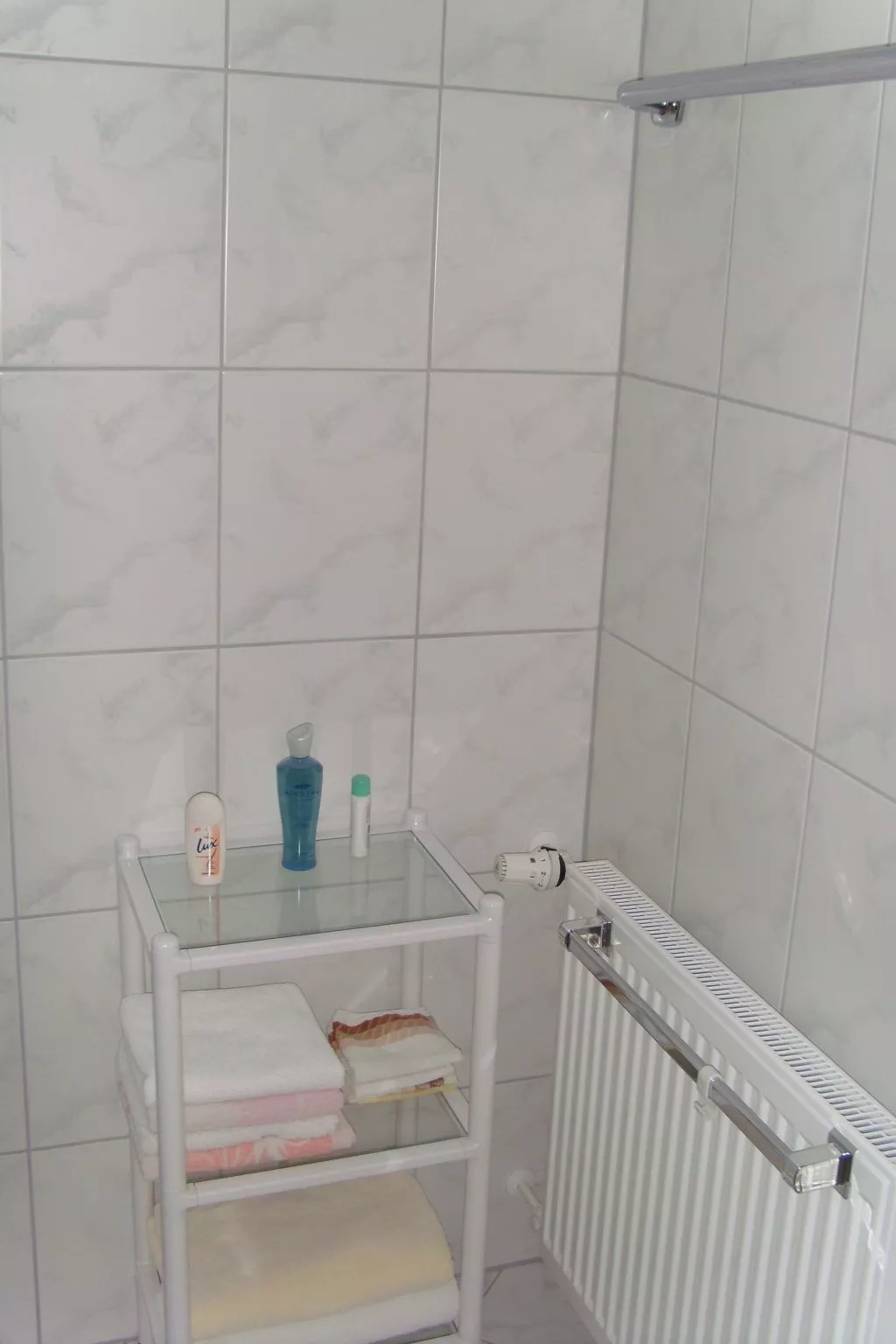 Mit Blick zur Wallfahrtskirche-Binnen