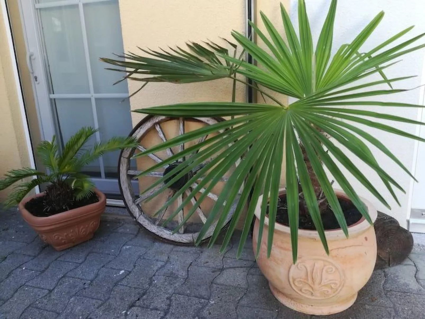 Tolle Ferienwohnung in Burkheim-Buiten