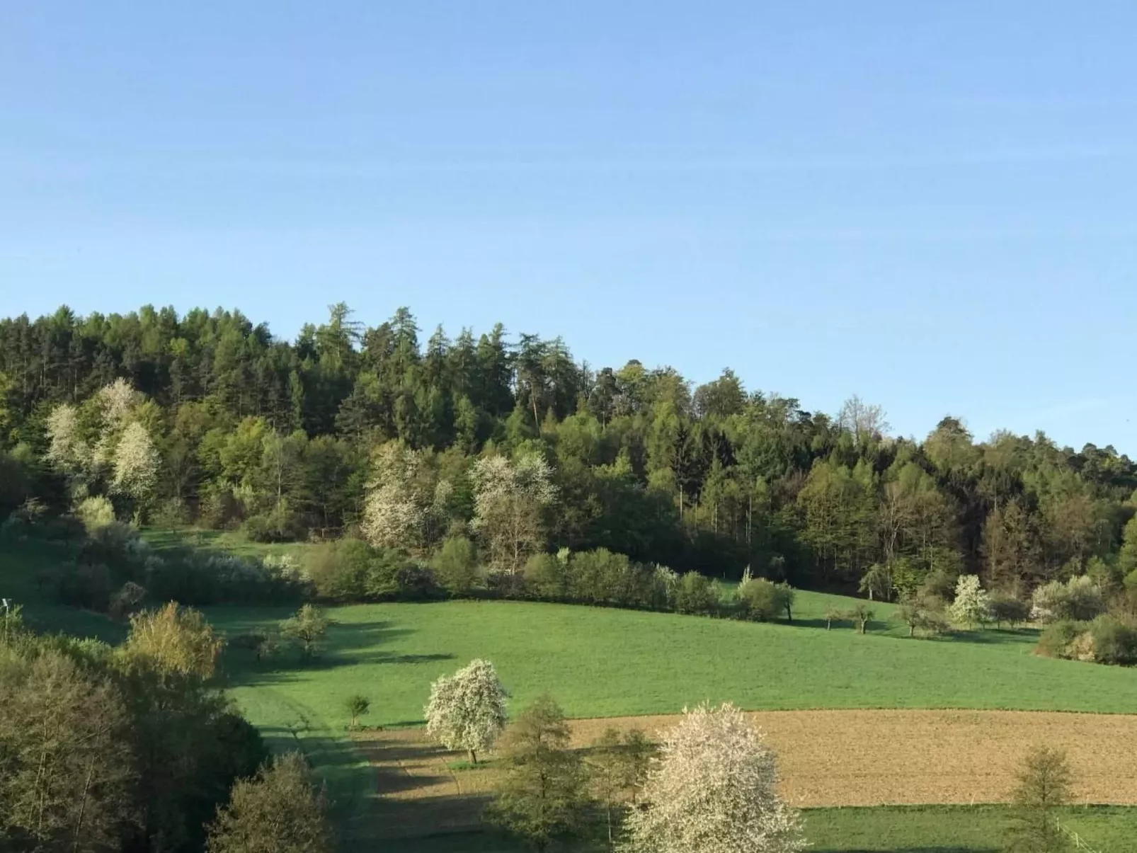 Appartement Spessart-Romantik-Image-tags.info