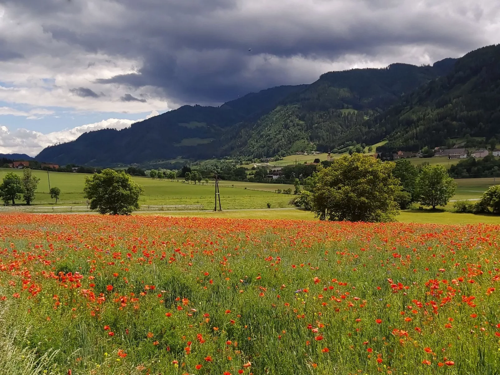 Moderne Wohnung in Pöls mit großer Terrasse-Buiten
