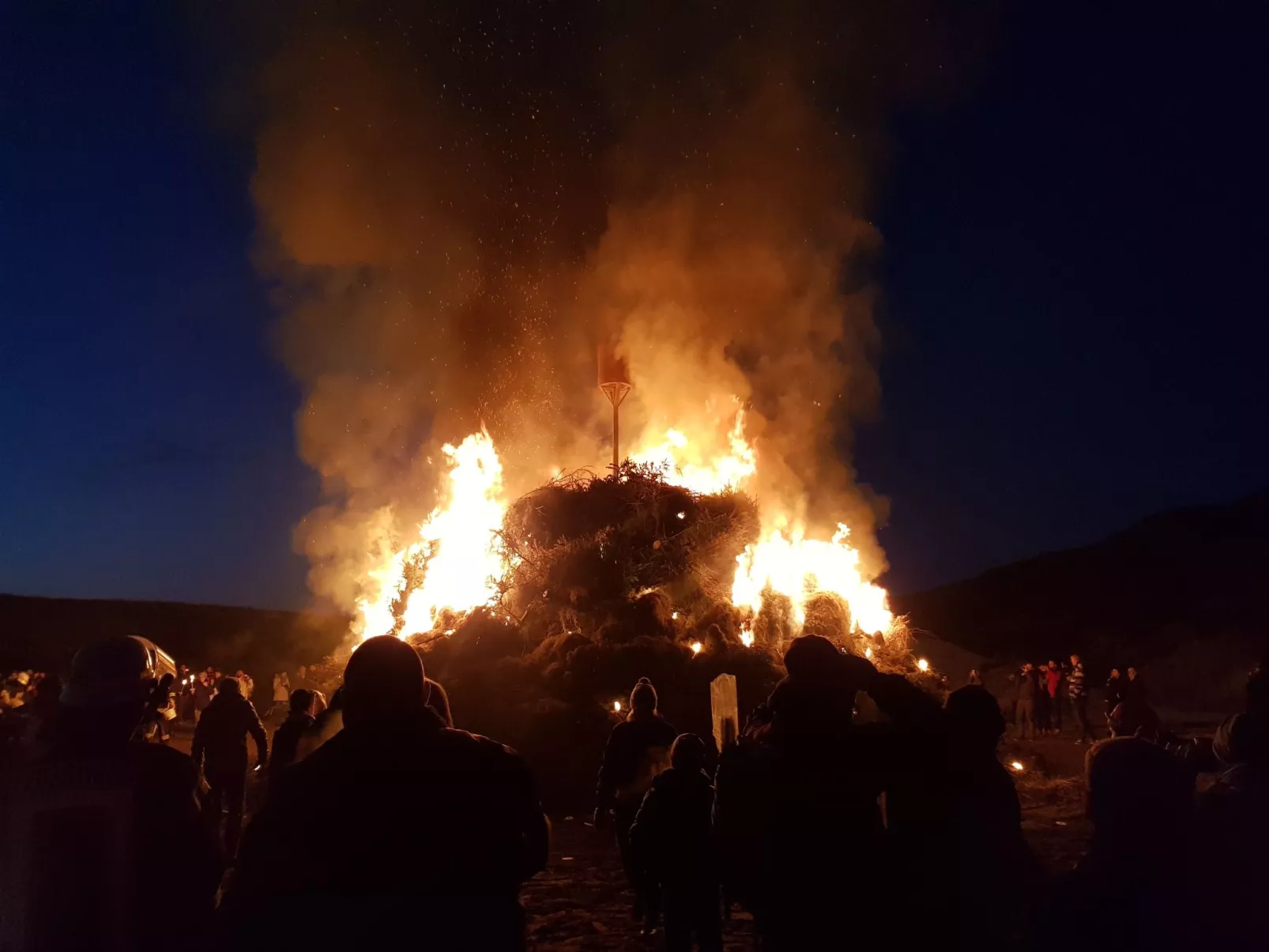Strandfloh in Hörnum-Buiten