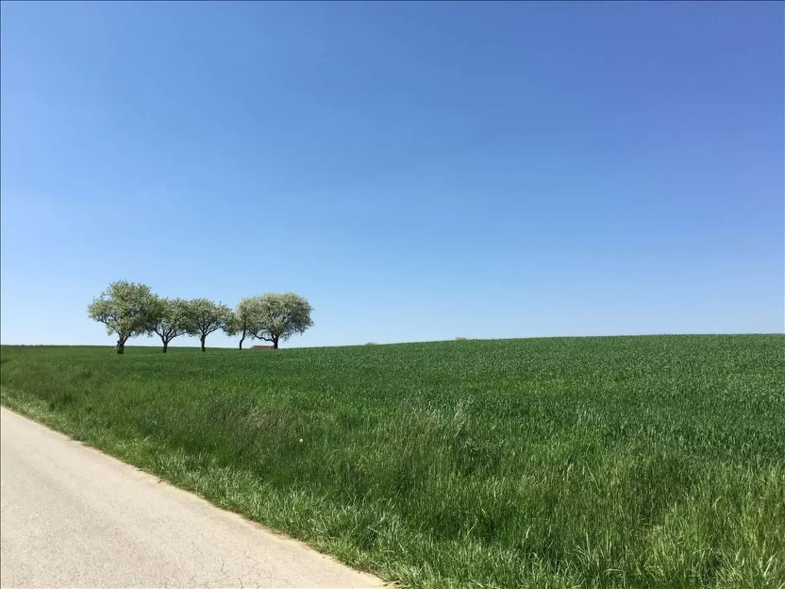 Thermen Apartment-Image-tags.info