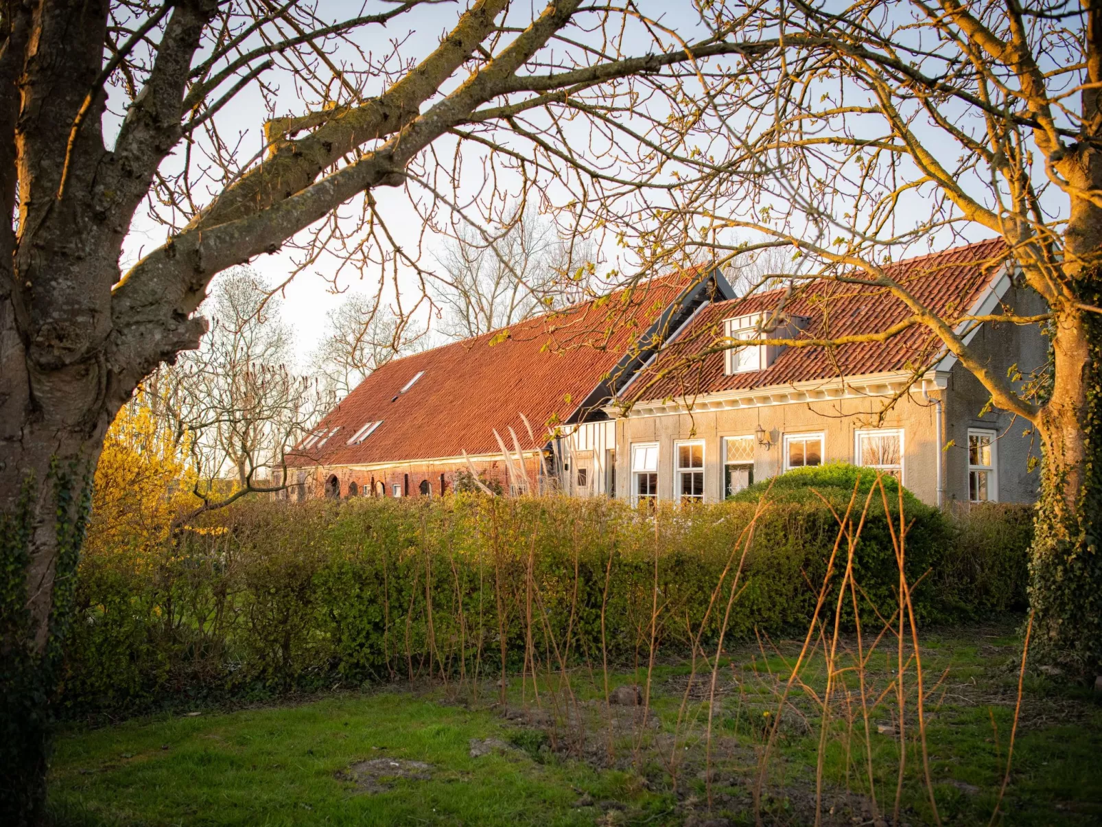 Einzigartiger Aufenthalt "The Moggershil" auf dem Bauernhof-Buiten
