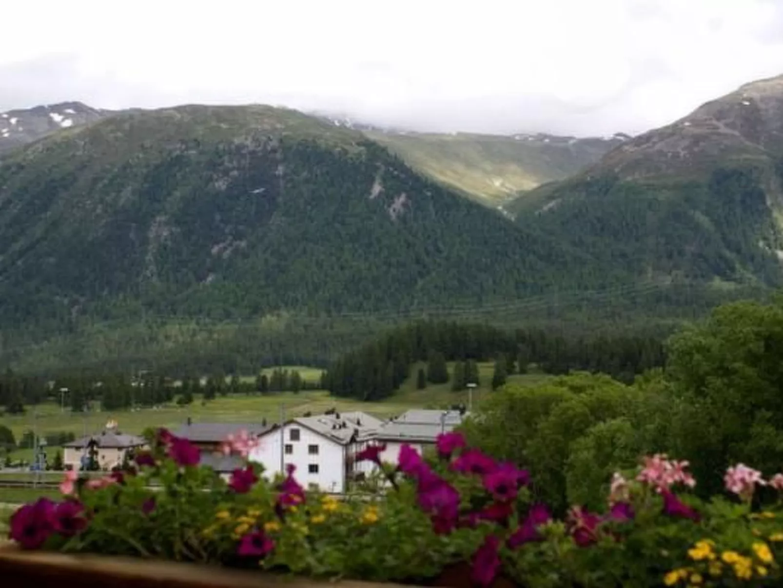 Aivla-Image-tags.info