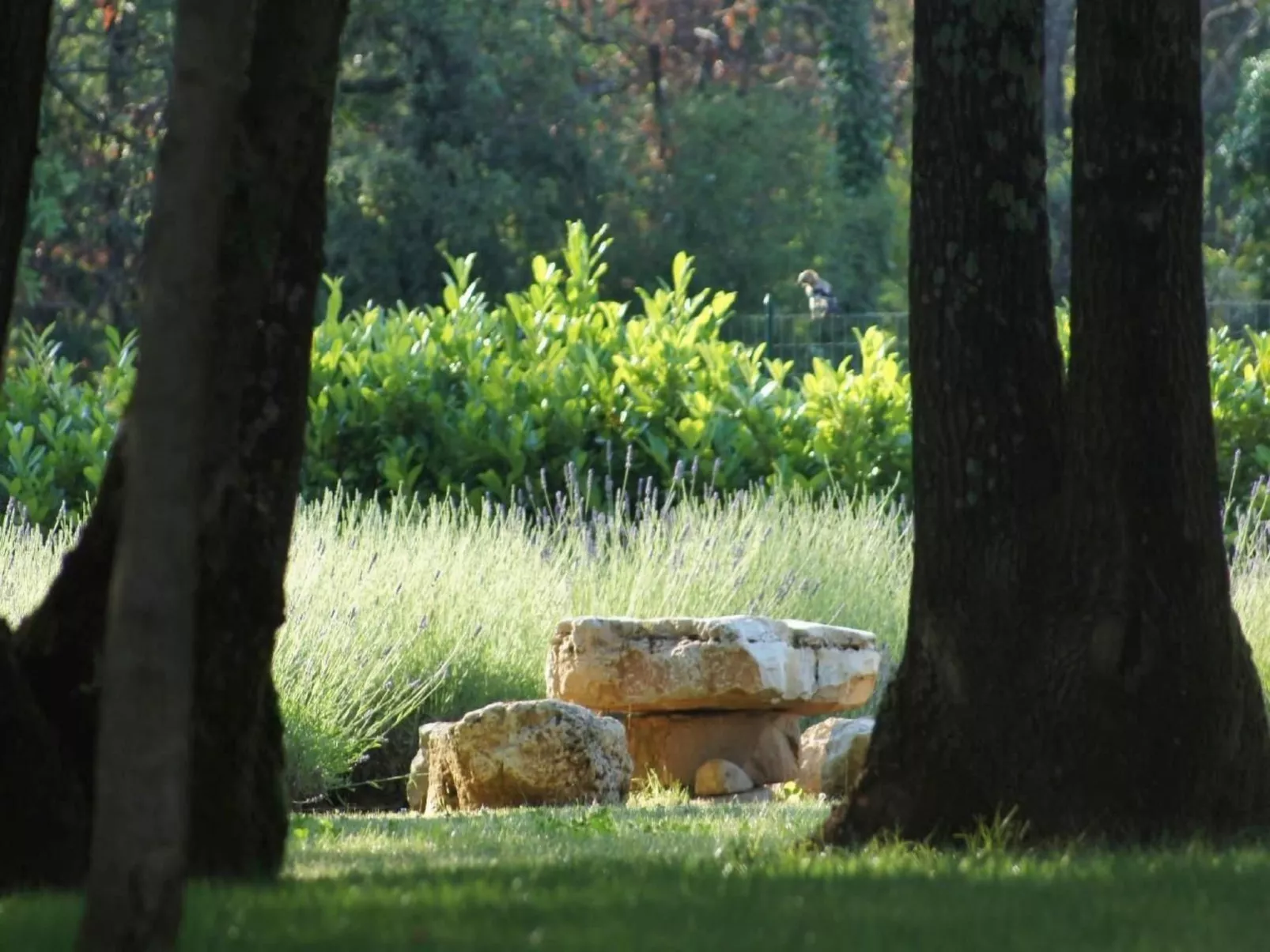 In Karigador mit Terrasse, Whirlpool und Garten-Buiten