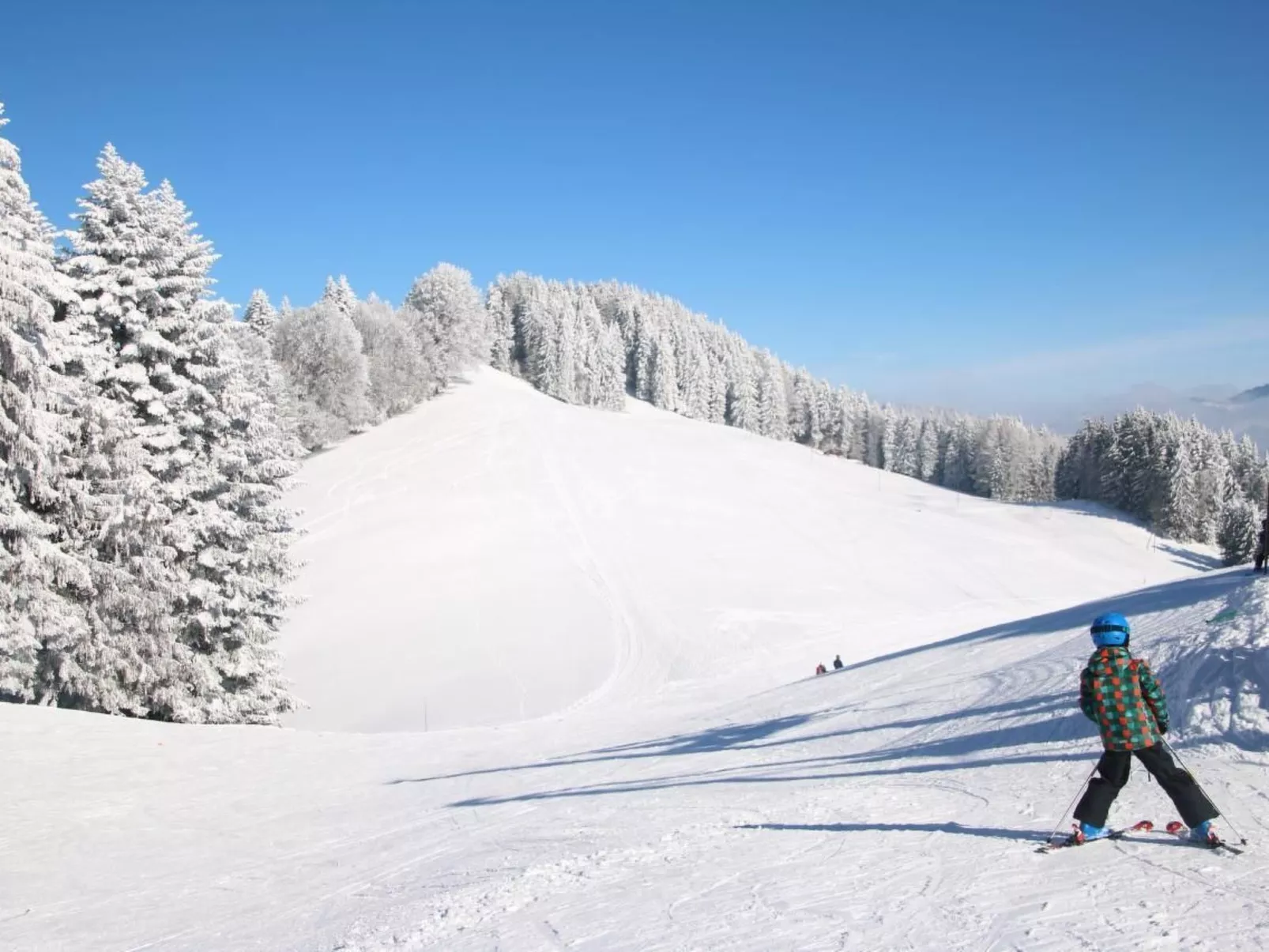 Les Narcisses,Blonay-Buiten