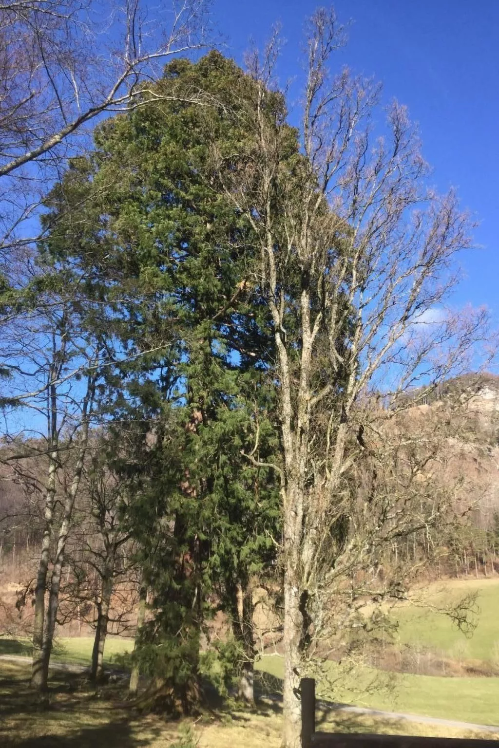 Hof unterer Dürrenberg / Langenbruck-Image-tags.info