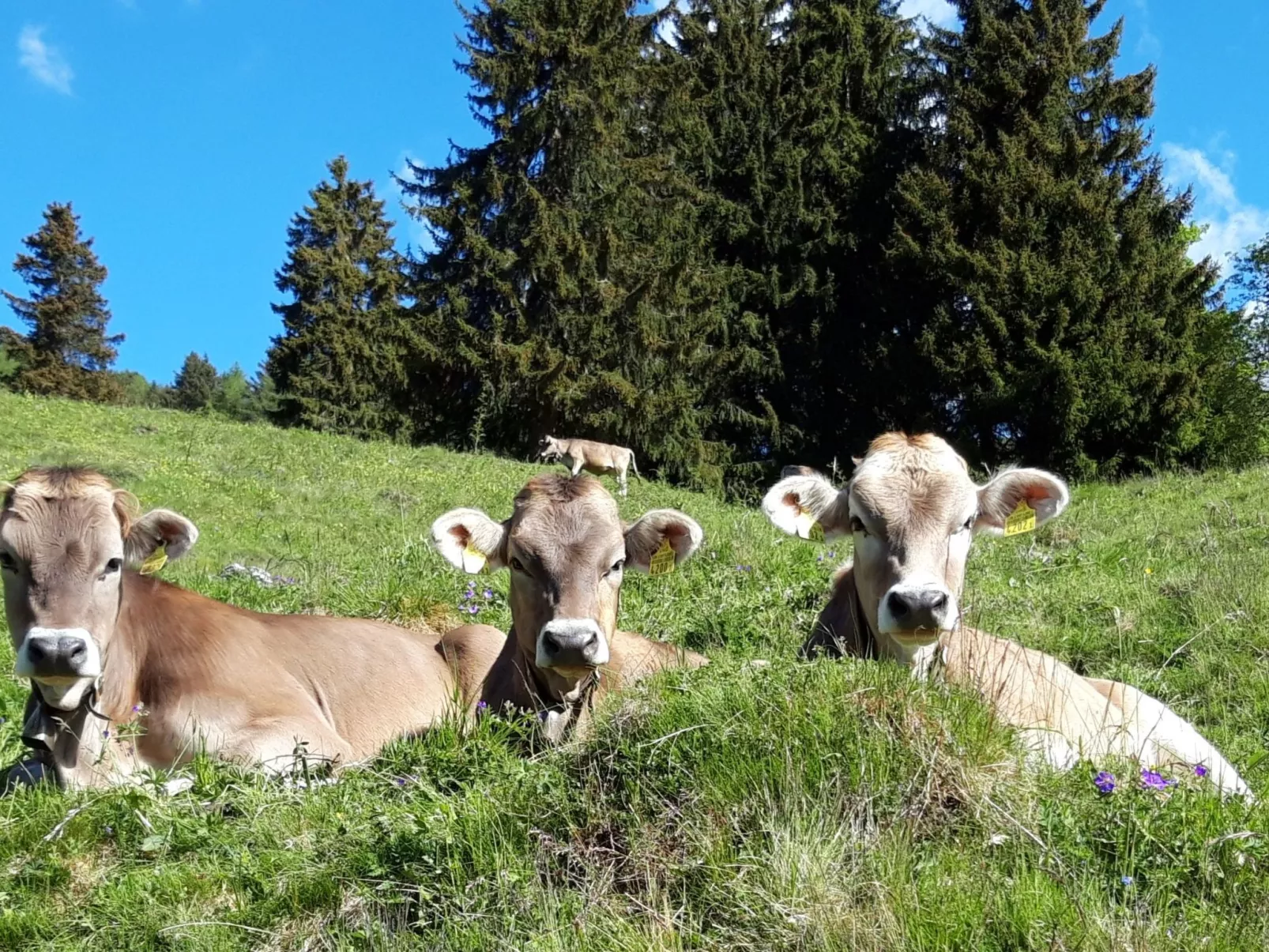 Hof Gross Gada-Buiten