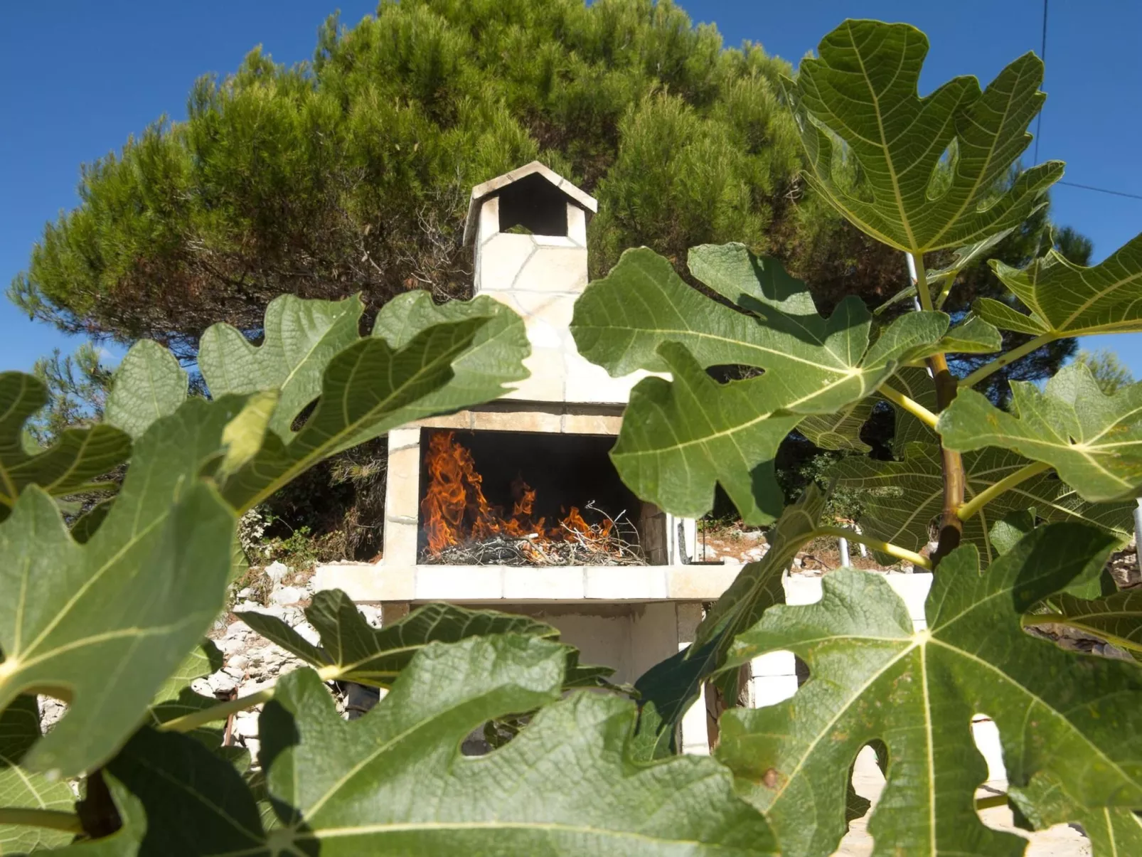 In Maslinica mit Großer Terrasse-Buiten