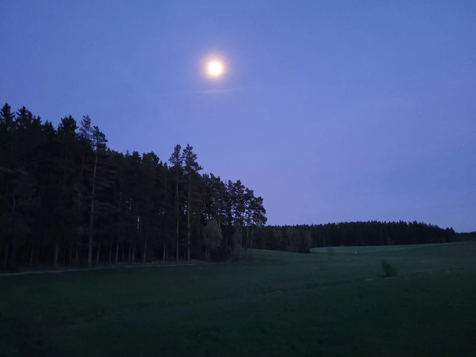 Fichtel-Pod gegen Aufpreis mit Sauna oder Hot Tub-Buiten