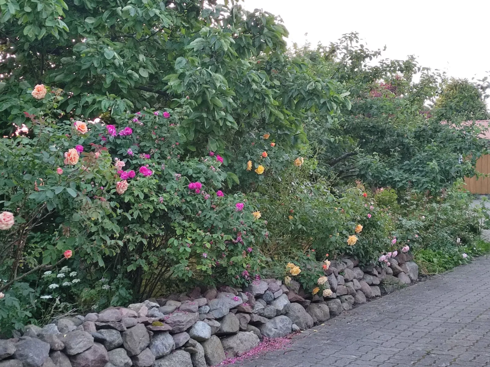 Janet Ratschkowski-Buiten