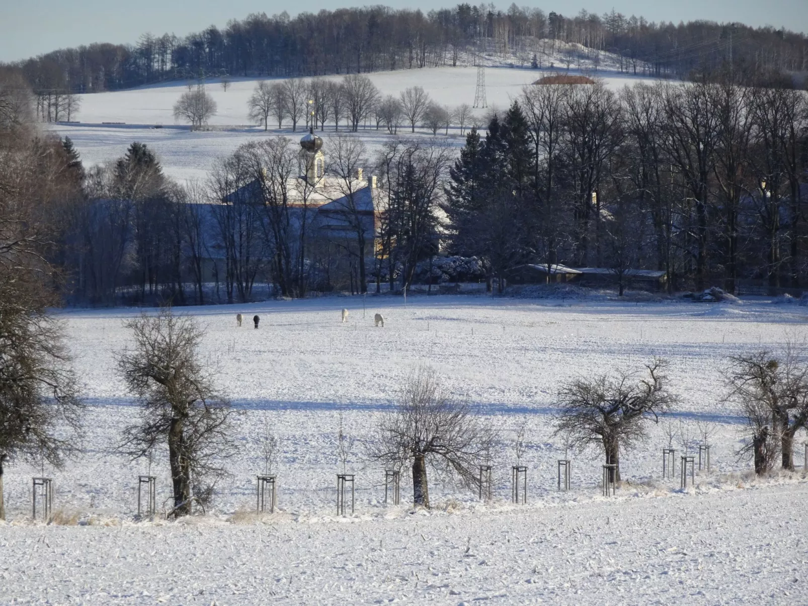 Landlust, Stadtnah -  Fewo im ehemaligem Bauernh-Buiten