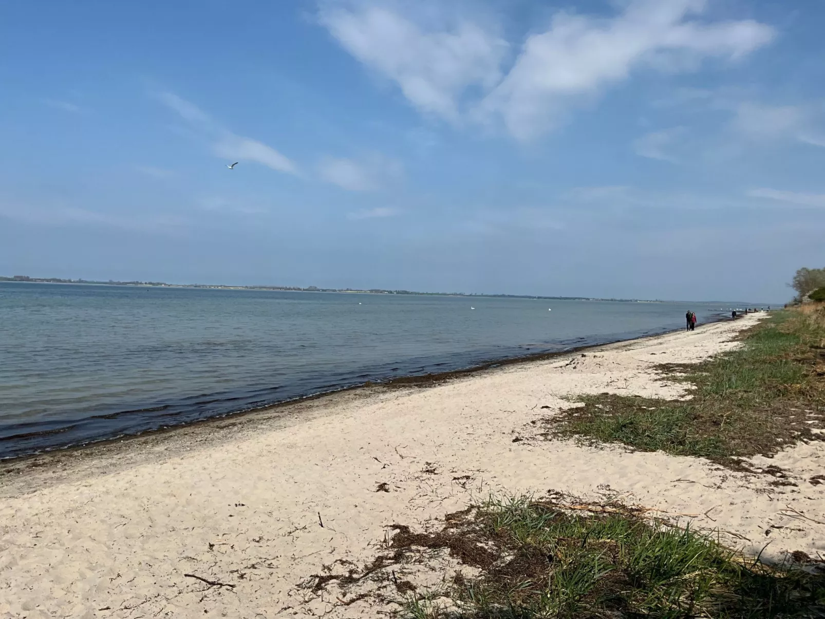 In Hoben mit Grill und Terrasse-Buiten