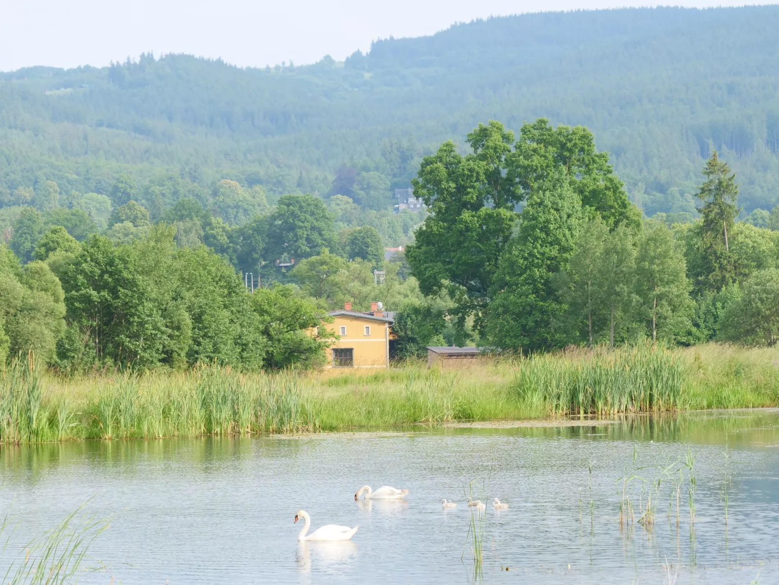 Für eine große Familie oder eine Gruppe von Freunden-Buiten