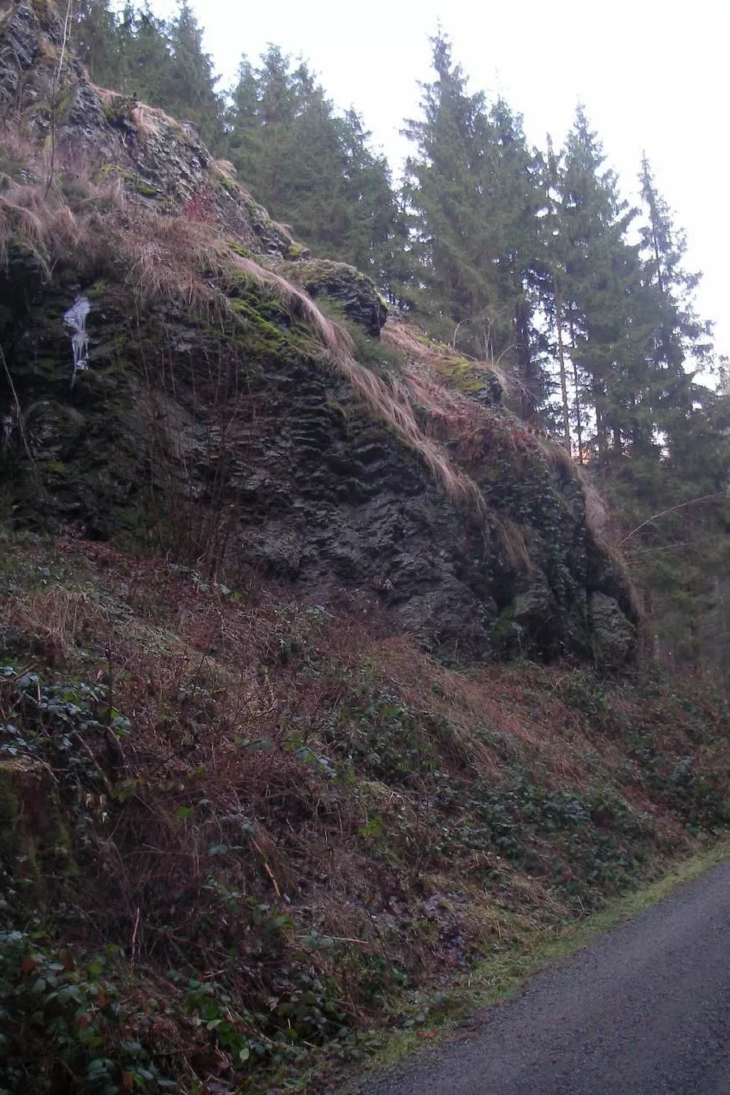 Chalet "Lena"-Buiten