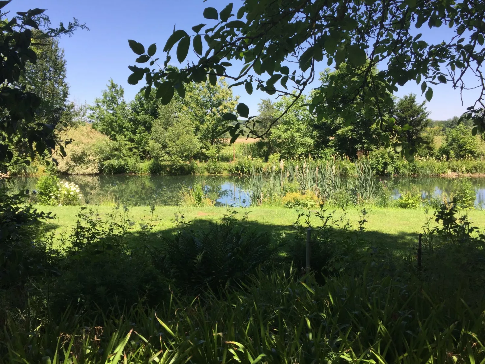 Ferienbungalow Anne-Buiten