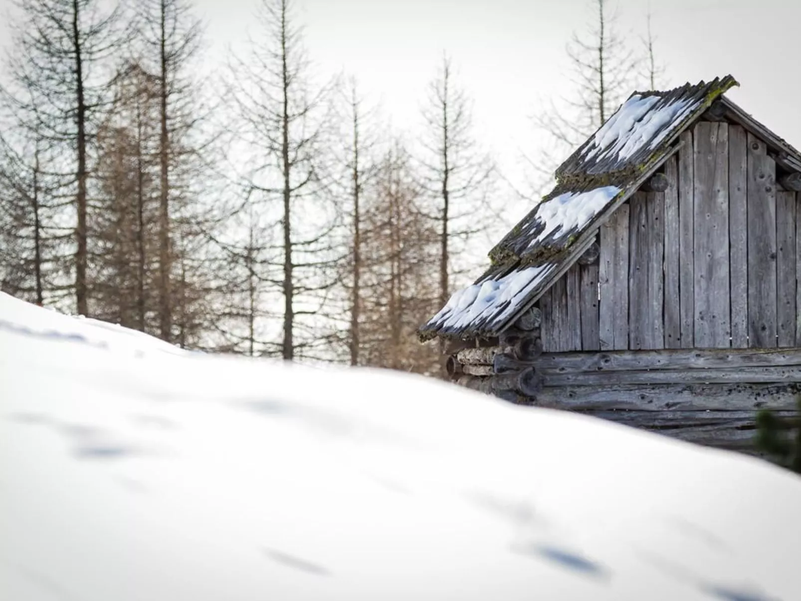 Almhütte Enzian-Buiten