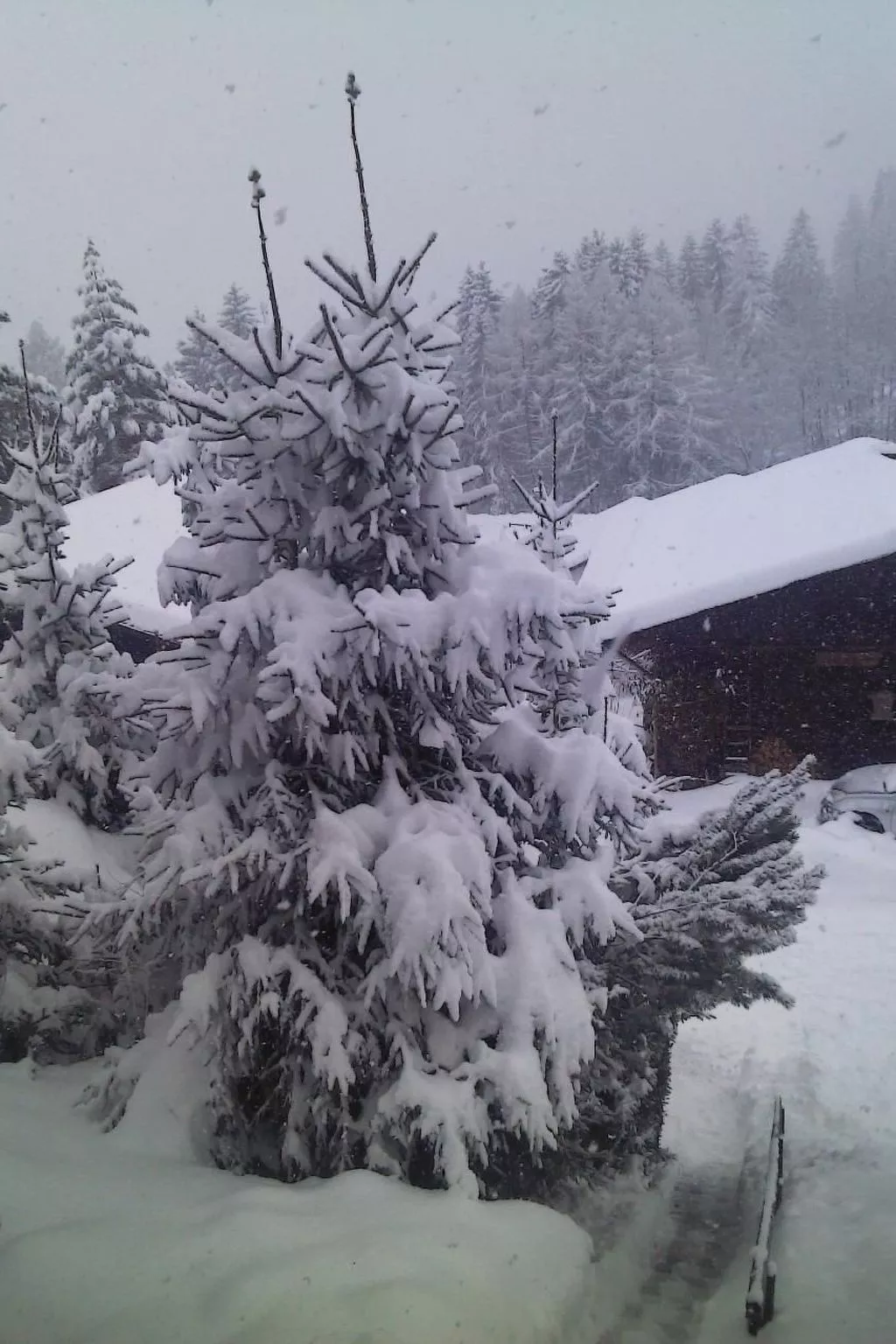 Appartement Murtalblick in Pöls-Image-tags.info