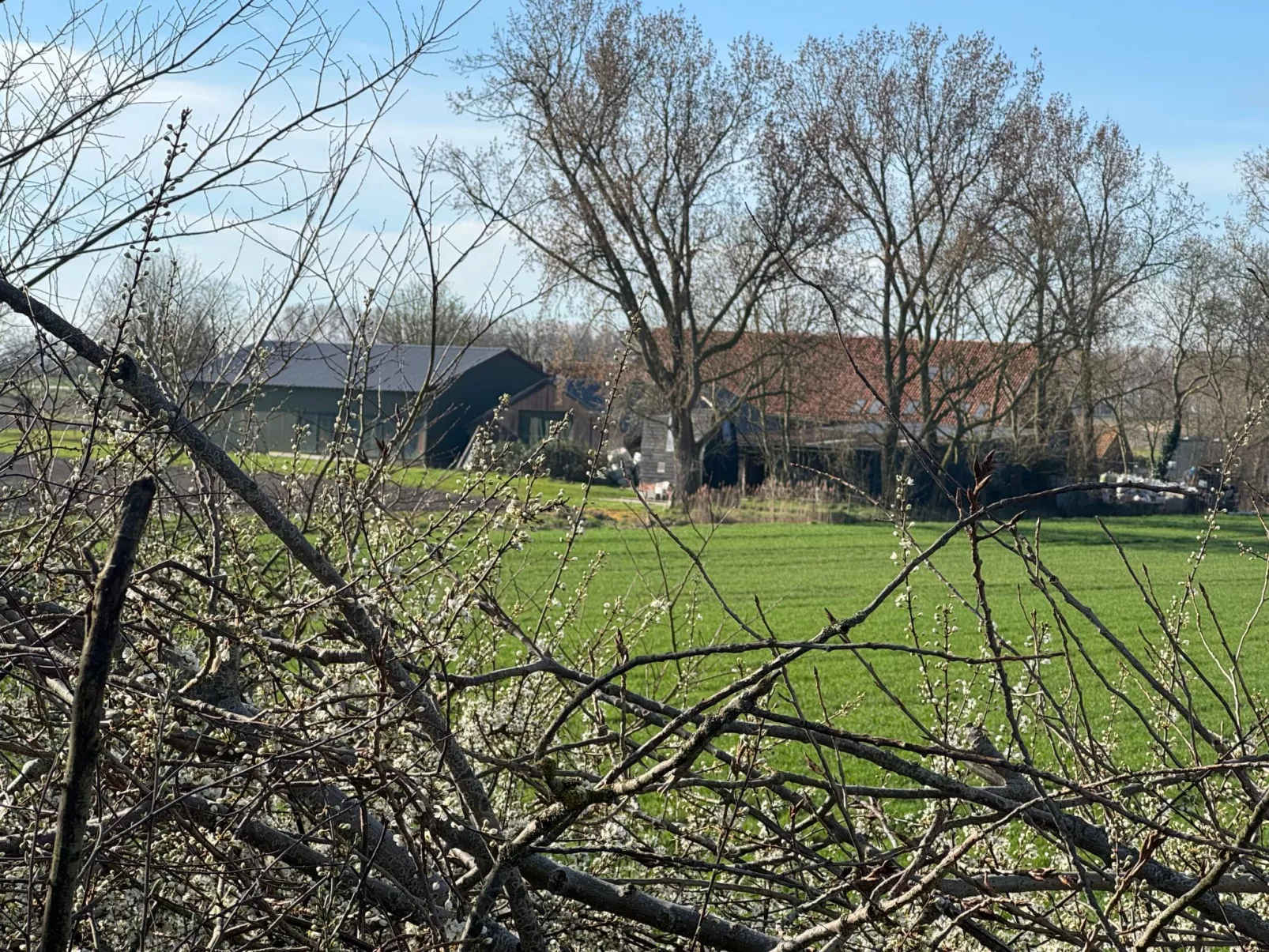 Luxus-App in der Scheune "Strandje groote Nol"-Buiten