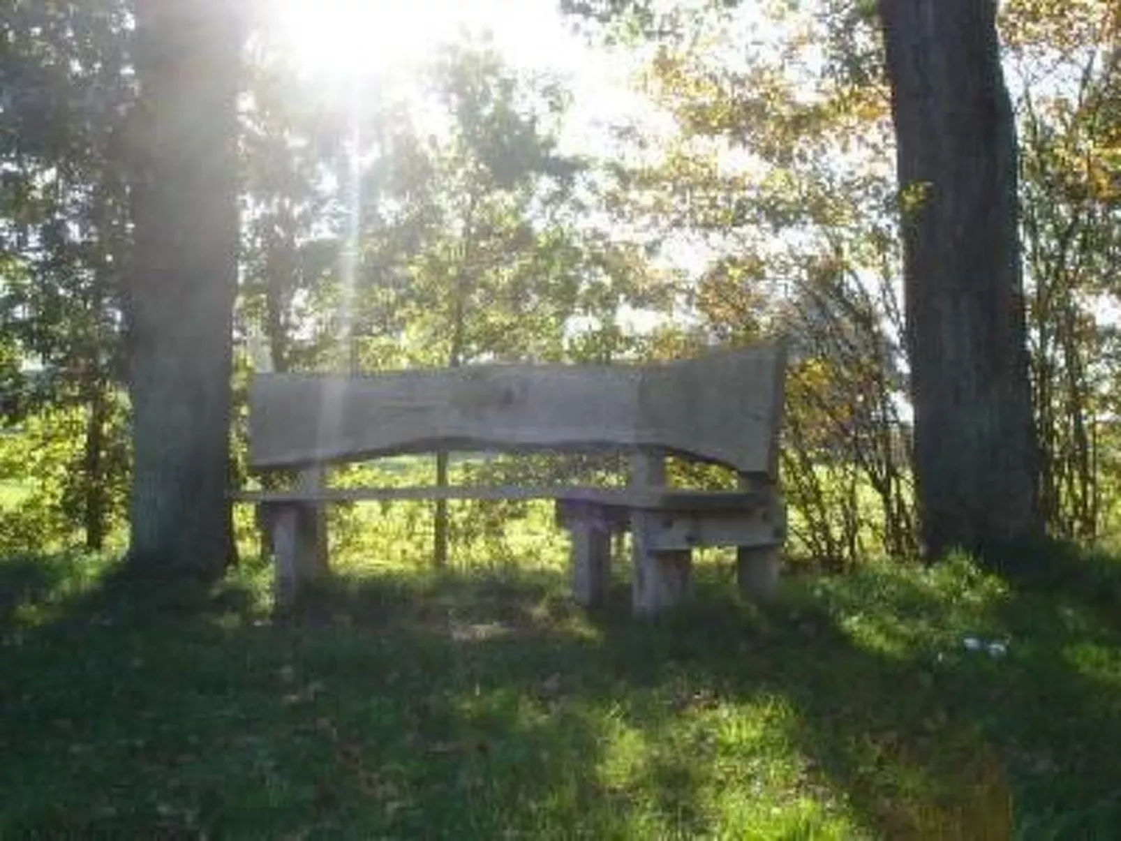 Gemütlicher Ferienhof Loosternest in Vriescheloo-Buiten