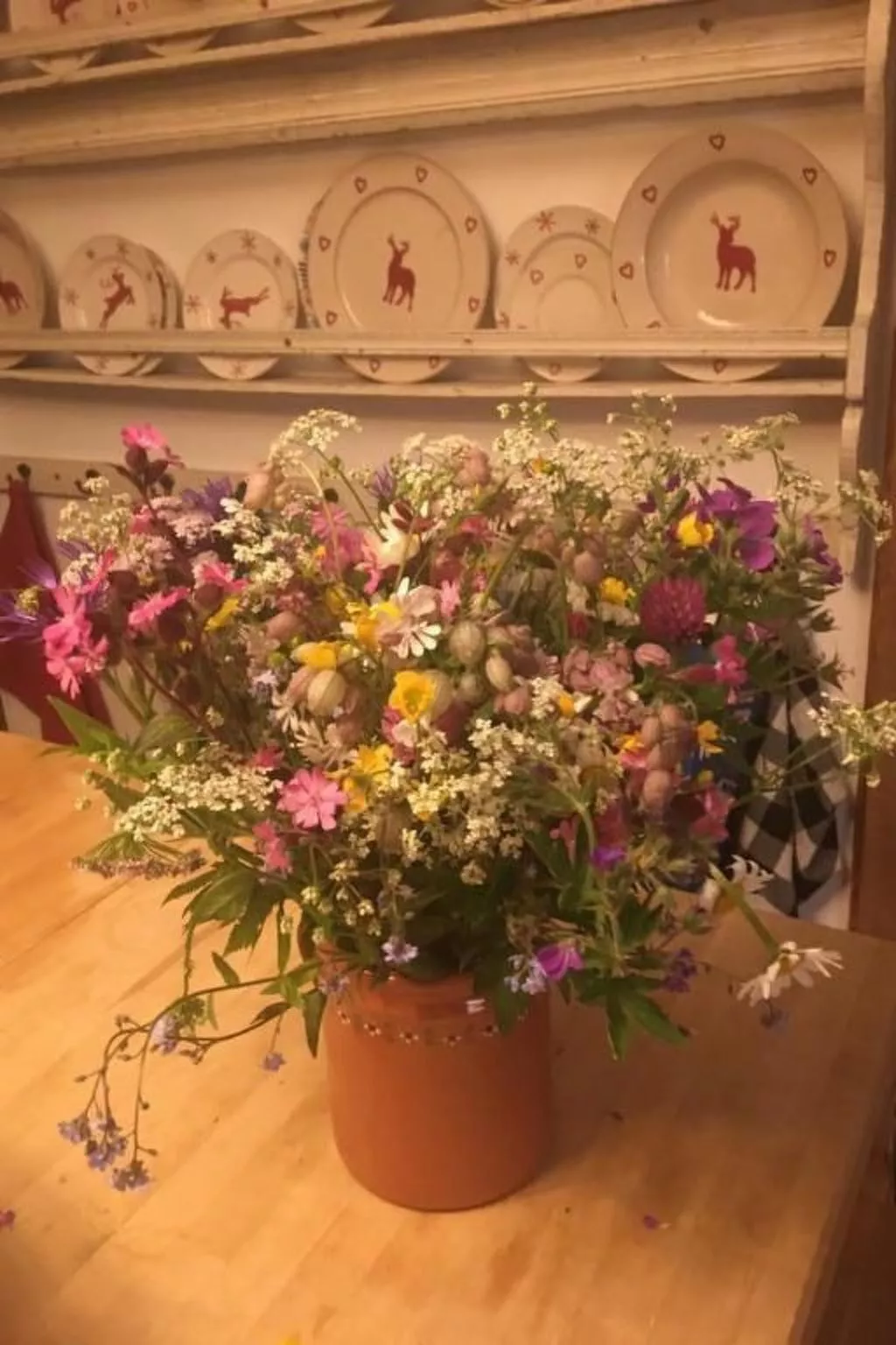 Hus Tschuetta-Image-tags.info