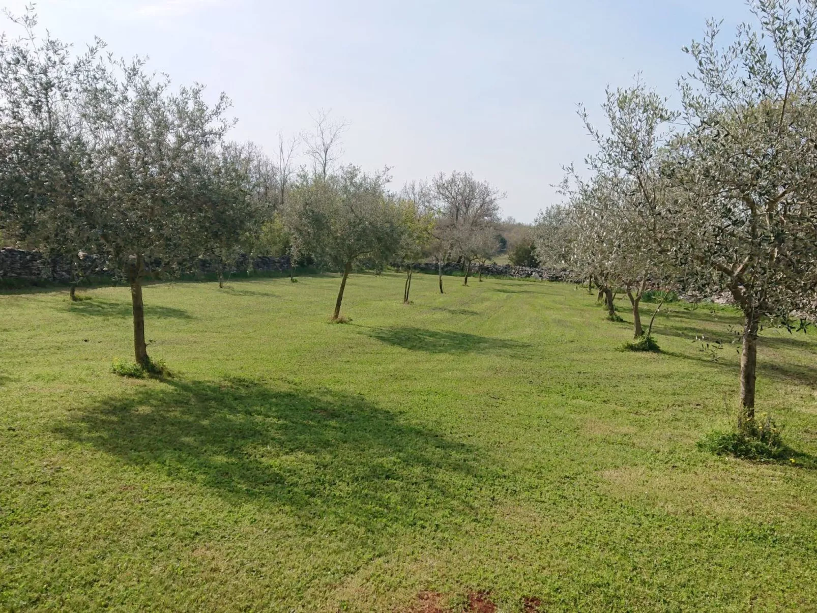 Das Haus im Wald-Image-tags.info