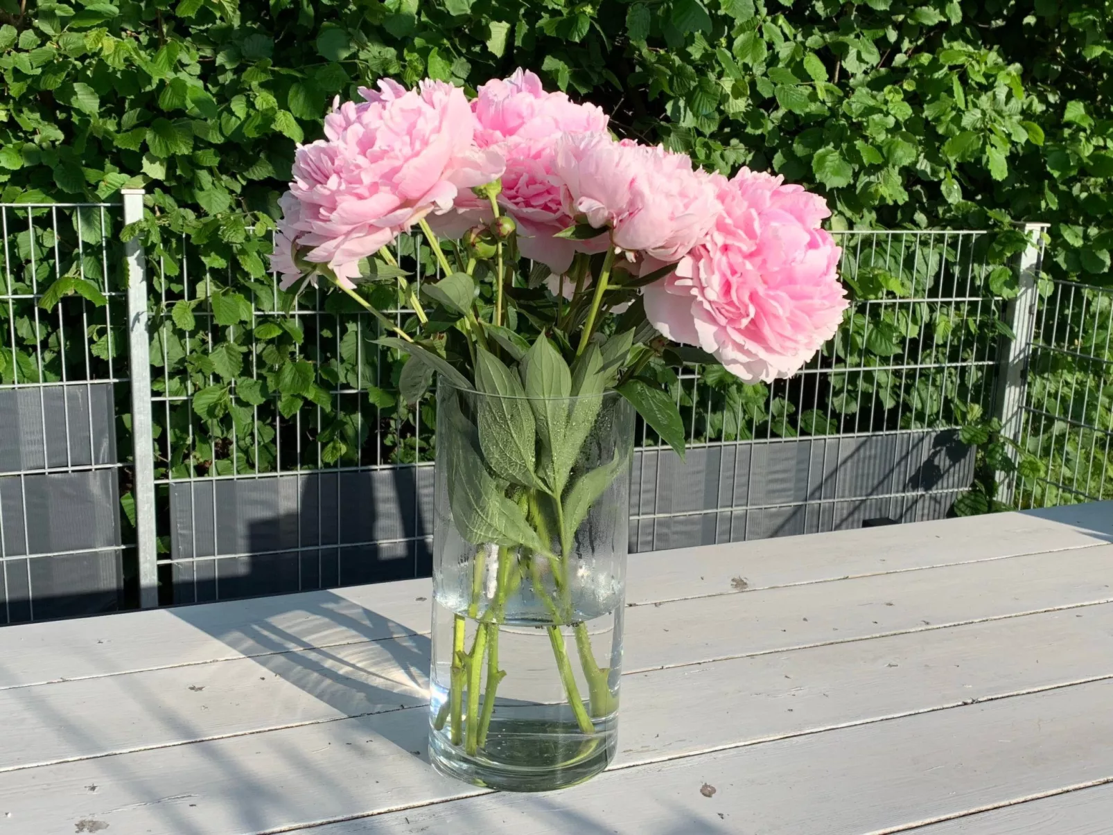 FeWo 5 Jahreszeiten-Image-tags.info