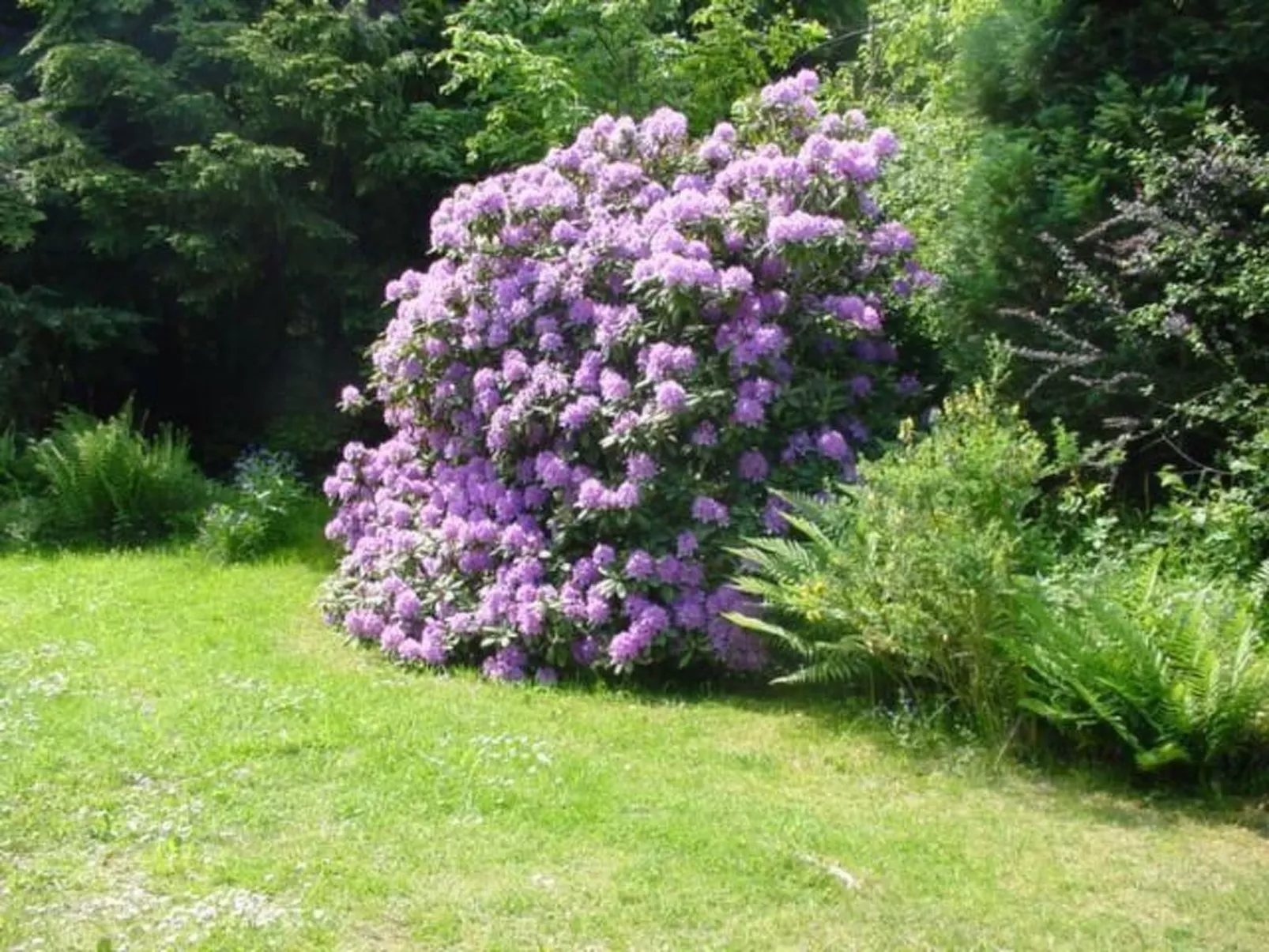Ederseeblick in Bringhausen am Edersee-Image-tags.info