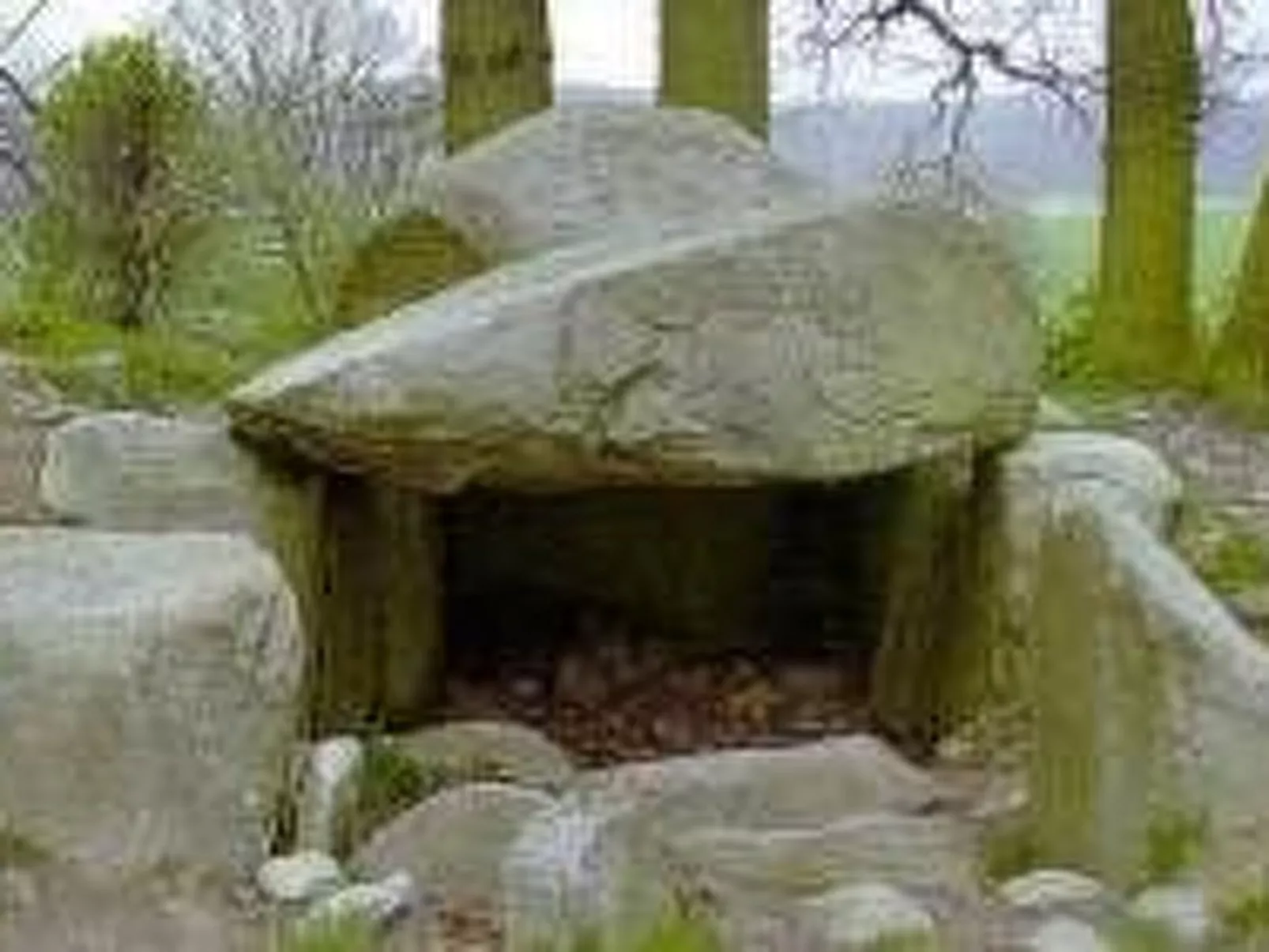 Strandnahe Ferienwohnung in ruhiger Lage-Buiten