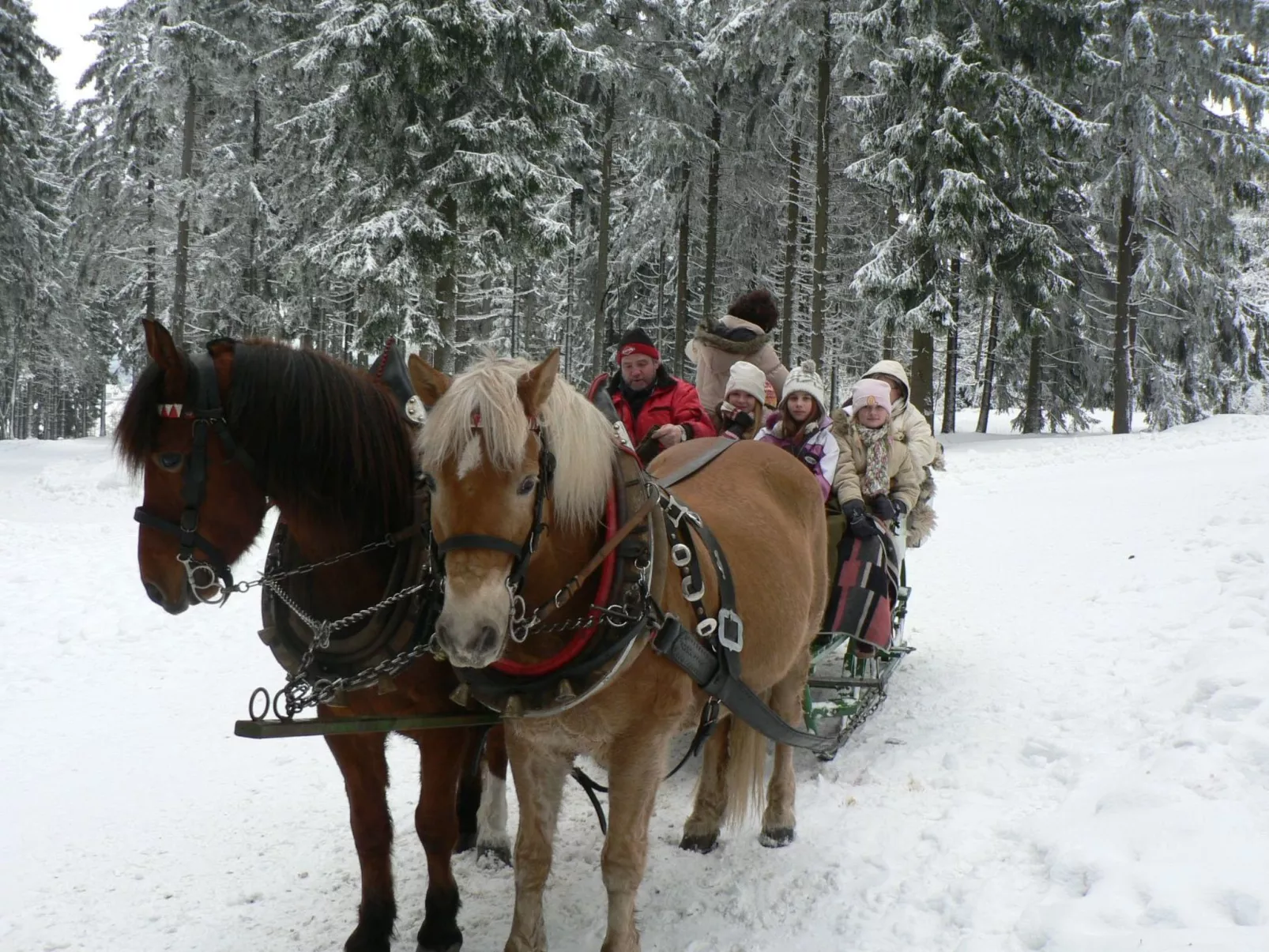 Für 6 Personen im Thüringer Wald-Image-tags.info