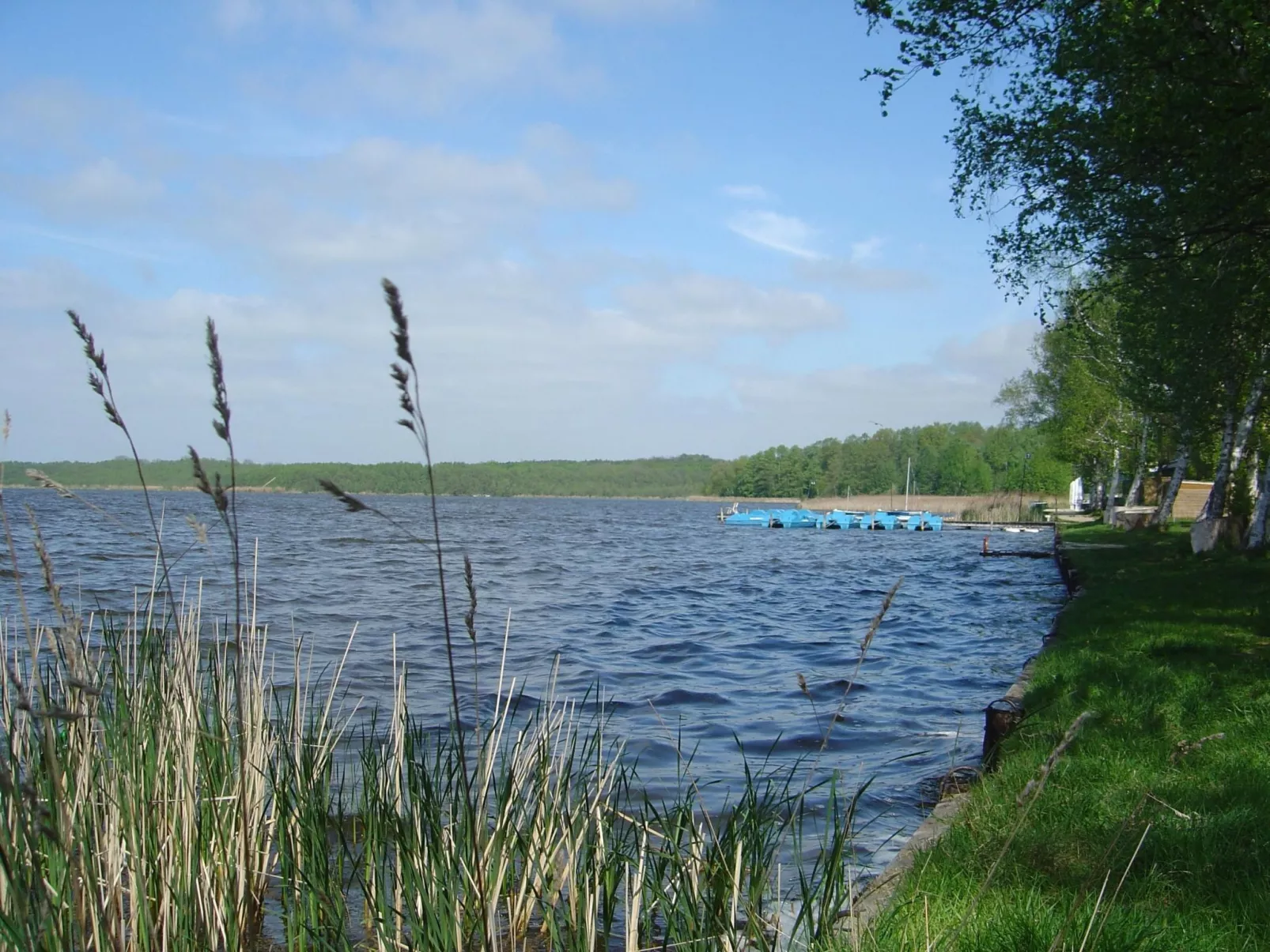 Helle Ferienwohnung für drei Personen-Buiten