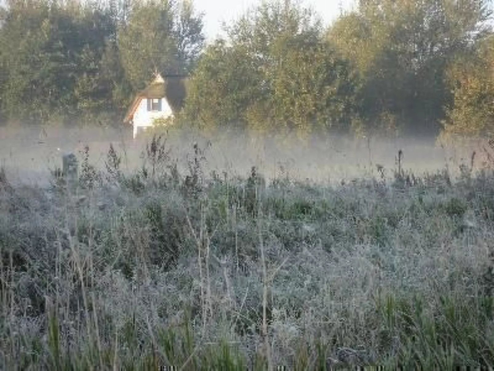 Haus-Zauberblau-Buiten