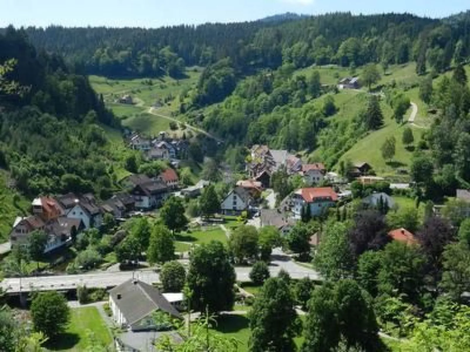 Tauchert-Image-tags.info